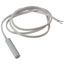 Reed Switch, Magnetic, 15mm Sensing, 200V, 250mA, Wire Leads