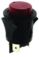 Push Button Switch, DP, Panel Mount, Momentary