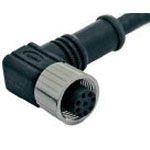 M12 8-Pos Female Receptacle to Wire Lead Cable Assembly, 2m, IP67