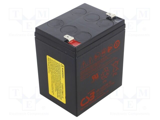 Sealed Lead Acid Battery 12V 21W .250 Faston tabs