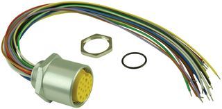 19P Receptacle to Wire Leads Cable, 300V, 2A, 1ft, IP67