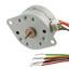 STEPPER MOTOR PM UNIPOLAR 12V