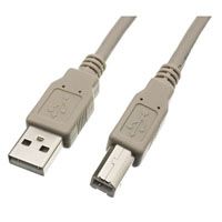 USB A Male To USB B Male 2.0 Cable Beige 6 Feet