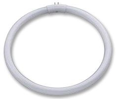 DAYLIGHT         D12000             FLUORESCENT TUBE