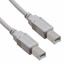 CABLE USB B-B MALE 3M 2.0 VERS