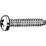 D7981FH NIP SCR PH WH/P ST2,2X6,5MM