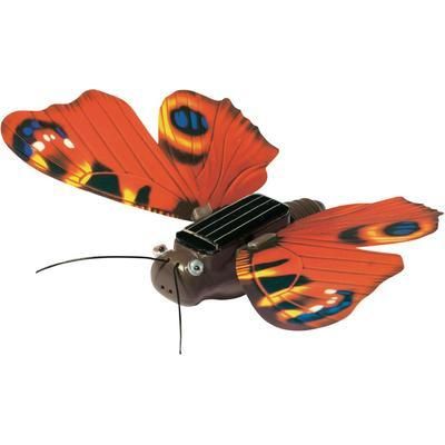 Solar Butterfly