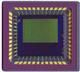 CMOS Image Sensor, High Speed, 0.3 MP (VGA) CMOS Output, Monochrome, No Microlens, LCC package, sealed glass (D263), LCC48, 14.22x14.22, 25-JTRAY