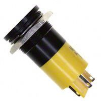 INDICATOR 12V 22MM FLUSH YELLOW