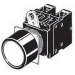 Illuminated Pushbutton Switch, SPST-NO+NC, 10A, Red LED, Panel Mount