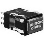 Pushbutton Switch, DPDT, Alternate, 2A, 24VDC, Quick Connect/solder Terminal, Panel Mount