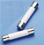 Cartridge Fuses 250V 2A Fast Acting