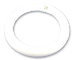 LIGHTCRAFT         LC8064/T             CIRCULAR TUBE, ES, 22W