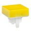 Switch Access Square Cap Push Button Switch