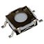 SWITCH TACTILE SPST-NO 0.05A 32V