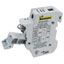 1-Pole 30A 600V DIN Rail Fuse Holder, Illuminated, Screw Term