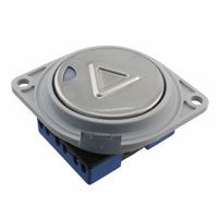 SWITCH PUSHBUTTON DPST 5A 12V