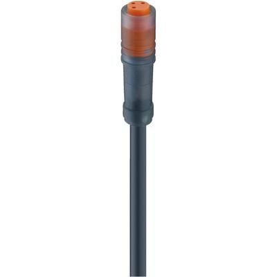 Cordsets, single-ended, for actuator/sensors and distribution boxes, M8 female connector, straight, with snap-in joint and molded cable, 3 poles, PVC jacket