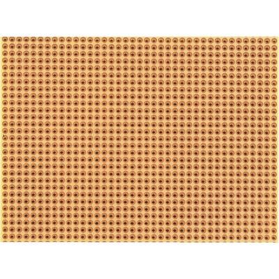 WR Rademacher VK C-811-2 Solder Point Grid Plate (L x W x H) 100 x 75 x 1.5 mm Grid pitch 2,54 mm HP