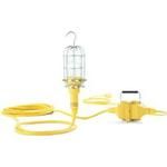 A21 Incandescent Lamp