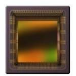 Image Sensor Color CMOS 2048x2048Pixels 95-Pin CuPGA