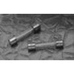 5A 250V Time Delay PTC Resettable Fuse, 6.4x31.7mm Glass