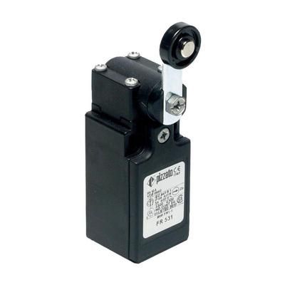 Limit switch 250 Vac 6 A Pivot lever momentary Piz