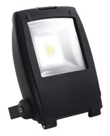 PowerLED Flex LED Floodlight, 1 LED, 30 W, IP65 100  240 V ac