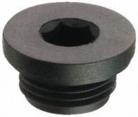 PLUG HEX/HEAD TCE 3/4