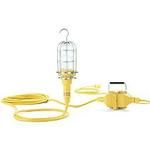 A21 Incandescent Lamp