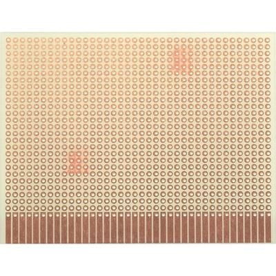 WR Rademacher VK C-903-1-EP Laboratory Card VK C-903-1-EP (L x W) 100 mm x 80 mm EP