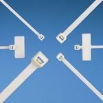 Cable Ties, Standard Locking Nylon 6/6 Ivory 22mm 80N Bulk