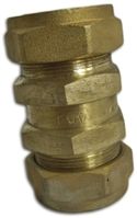 Reliance Brass Single Check Valve, Floguard 28 mm BSP Female
