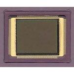 Image Sensor Monochrome CMOS 1280x1024Pixels 145-Pin PGA Tray