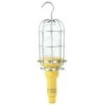 A21 Incandescent Lamp