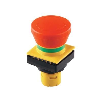 Schlegel Red, Yellow