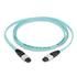 Cable Assembly Fiber Optic 20m MTP to MTP PL-PL