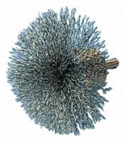 Tivoly Steel Abrasive Circular Brush, 4000rpm, 75mm diameter