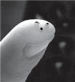 Thermistors - NTC 2Kohm B-3450K SMD 0805