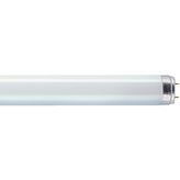 Fluorescent lamp 230 VAC 13 W G5, L 13W/827, Osram