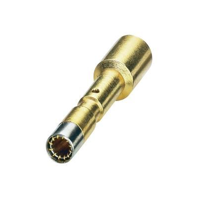 Coninvers 1605491 SF-20KS010 Gold