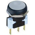 DPST Pushbutton Switch, 4A 250VAC, Momentary, Solder Lug, Panel Mount