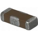 Cap Feed Through 1uF 16VDC -20% to 50% Flat 1206