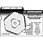 Flexinol&reg; 375LT Muscle Wire - 1 Meter