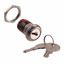 Keylock Switch 2Pos DPDT 4A 125VAC 28VDC Solder