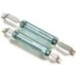 Magnetic Reed Switch