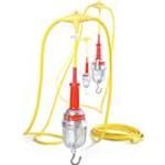 A21 Incandescent Lamp