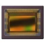 HIGH SPEED GLOBAL SHUTTER MACHINE VISION SENSOR