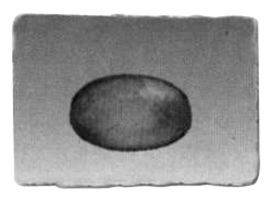 FEET RUBBER .31 X .09 CLR 1=24