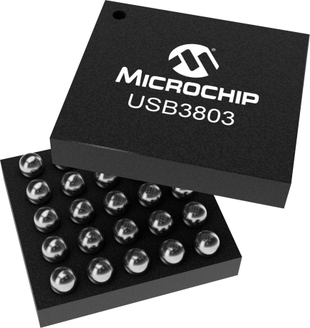 SPECIALTY CONSUMER CIRCUIT